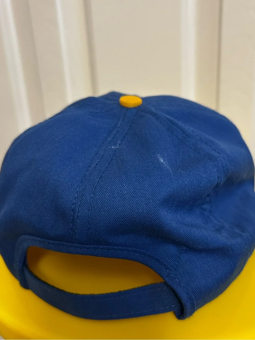 Vintage St. Louis 1995 Charter Owner PSL Hat